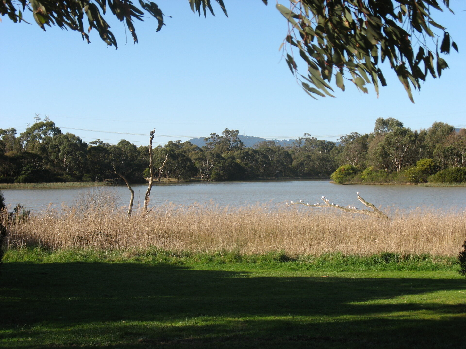 Jells Park, Wheelers Hill, 20 August 2006